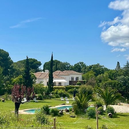فيلا Quinta Da Arrabida سيسيمبرا المظهر الخارجي الصورة