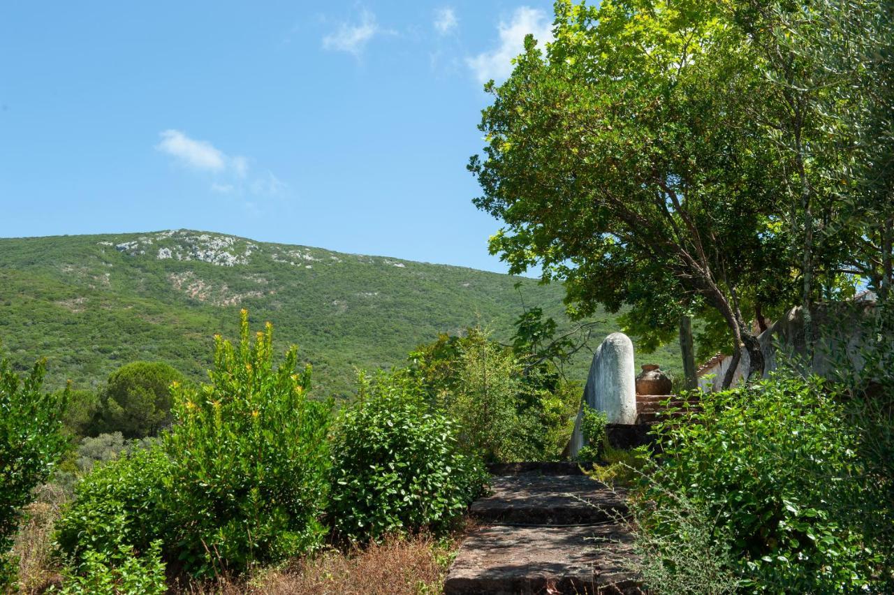 فيلا Quinta Da Arrabida سيسيمبرا المظهر الخارجي الصورة