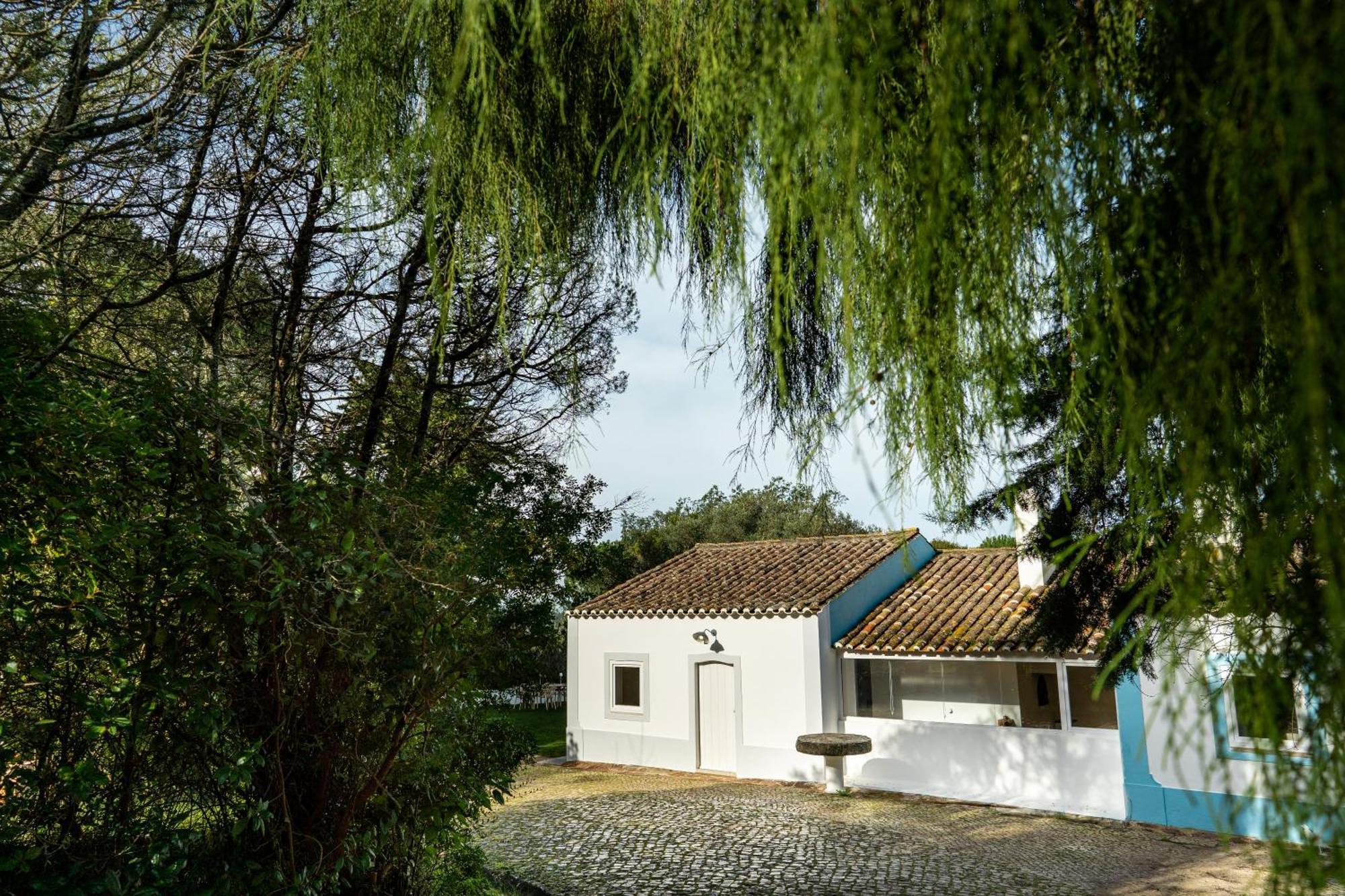 فيلا Quinta Da Arrabida سيسيمبرا الغرفة الصورة