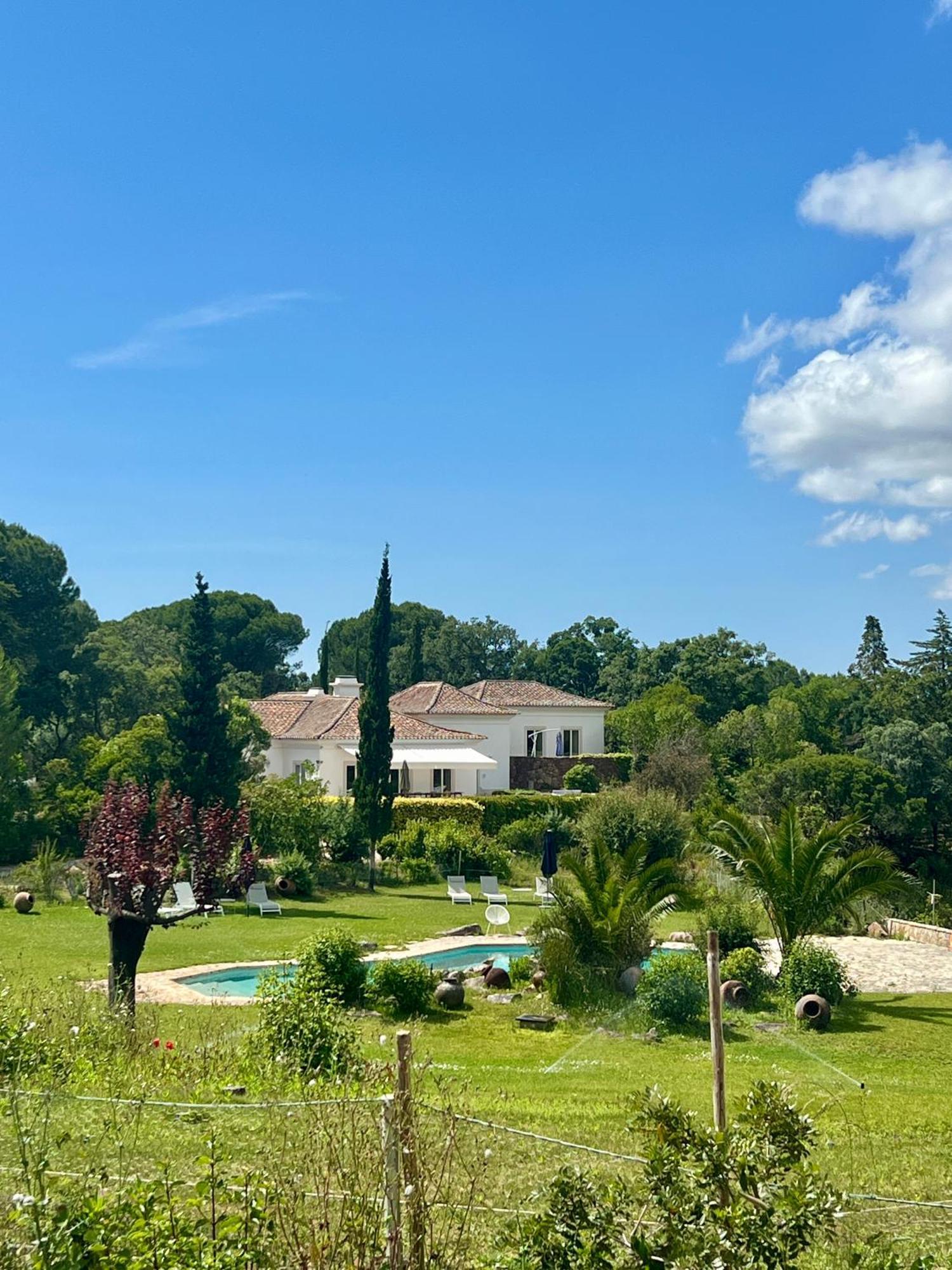 فيلا Quinta Da Arrabida سيسيمبرا المظهر الخارجي الصورة